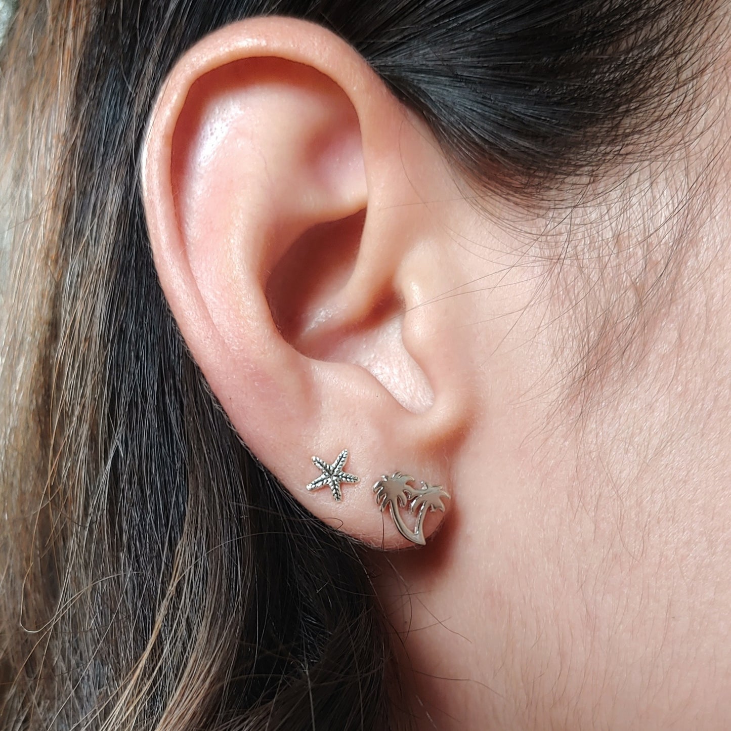 Estrellas de Mar